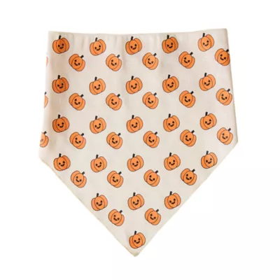 Thrills & Chills® Pumpkins Dog Bandana - Image 2