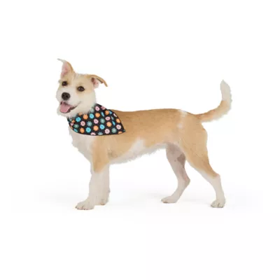 Thrills & Chills® Flowers Dog Bandana - Image 1