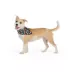 Thrills & Chills® Flowers Dog Bandana image thumbnail 1
