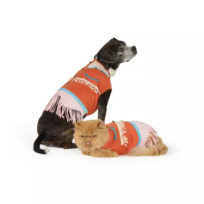 Thrills & Chills® Western Dog & Cat Dress - Image 1