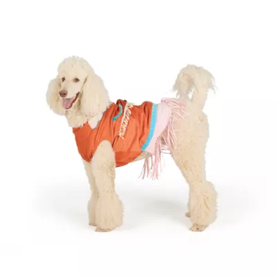 Thrills & Chills® Western Dog & Cat Dress - Image 2