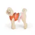 Thrills & Chills® Western Dog & Cat Dress image thumbnail 2