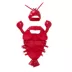 Thrills & Chills® Lobster Dog & Cat Costume image thumbnail 5