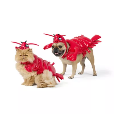 Thrills & Chills® Lobster Dog & Cat Costume - Image 1