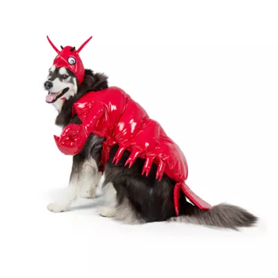 Thrills & Chills® Lobster Dog & Cat Costume - Image 2