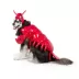 Thrills & Chills® Lobster Dog & Cat Costume image thumbnail 2