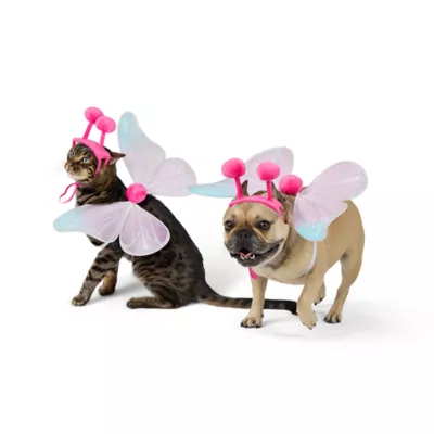 Thrills & Chills® Dog & Cat Butterfly Costume Accessory Set - Image 1
