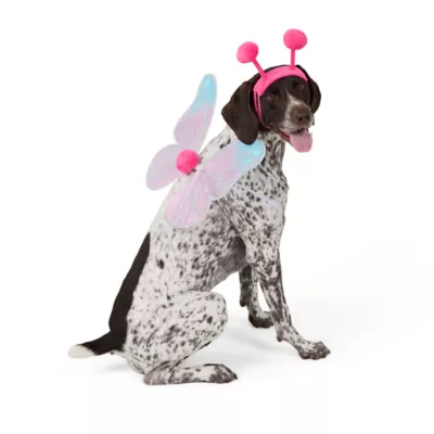 Thrills & Chills® Dog & Cat Butterfly Costume Accessory Set - Image 2