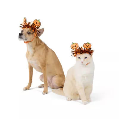 Thrills & Chills® Pumpkin Dog & Cat Headpiece - Image 1