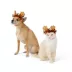 Thrills & Chills® Pumpkin Dog & Cat Headpiece image thumbnail 1