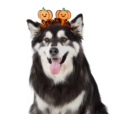 Thrills & Chills® Pumpkin Dog & Cat Headpiece - Image 2