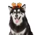Thrills & Chills® Pumpkin Dog & Cat Headpiece image thumbnail 2