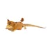 Thrills & Chills® Reptile Costume Longhorn image thumbnail 1