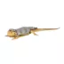 Thrills & Chills® Reptile Costume Snake image thumbnail 1