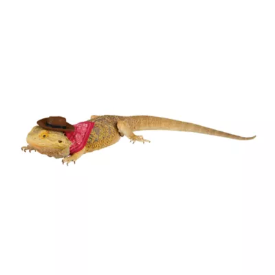 Thrills & Chills® Reptile Cosutme - Cowboy - Image 1