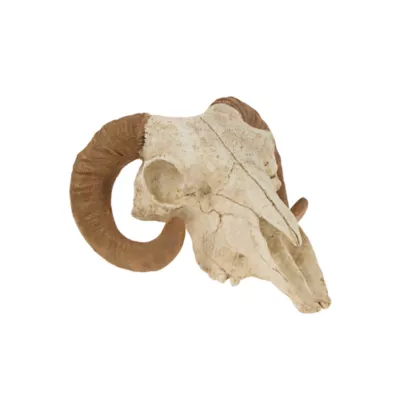 Thrills & Chills® Reptile Skull Ornamet Hide - Image 1