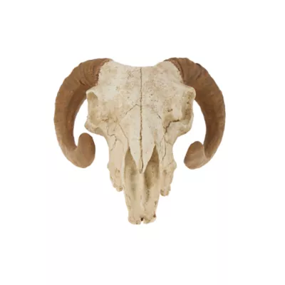Thrills & Chills® Reptile Skull Ornamet Hide - Image 2