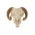 Thrills & Chills® Reptile Skull Ornamet Hide image thumbnail 2