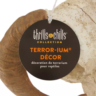 Thrills & Chills® Reptile Skull Ornamet Hide - Image 3
