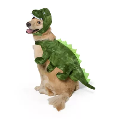 Thrills & Chills® Dinosaur Dog & Cat Costume - Image 2