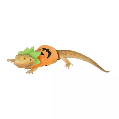 Thrills & Chills® Reptile Costume - Pumpkin - Image 1