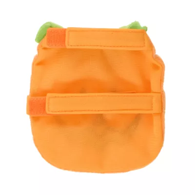 Thrills & Chills® Reptile Costume - Pumpkin - Image 3