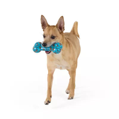 Thrills & Chills™ Halloween TPR Bone Dog Toy - Image 2