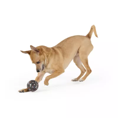 Thrills & Chills™ Halloween TPR Ghost Ball Dog Toy - Image 2