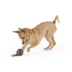 Thrills & Chills™ Halloween TPR Ghost Ball Dog Toy image thumbnail 2