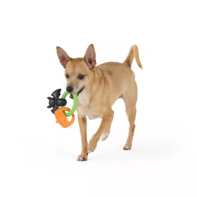 Thrills & Chills™ Halloween TPR Ring Dog Toy - Image 2