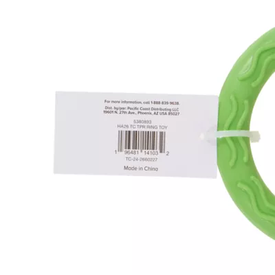 Thrills & Chills™ Halloween TPR Ring Dog Toy - Image 4