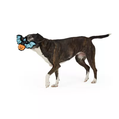 Thrills & Chills™ Halloween Flattie Bat Dog Toy - Image 2