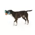 Thrills & Chills™ Halloween Flattie Bat Dog Toy image thumbnail 2