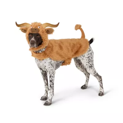 Thrills & Chills® Highland Cow Dog & Cat Costume - Image 2