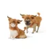 Thrills & Chills® Highland Cow Dog & Cat Costume image thumbnail 1