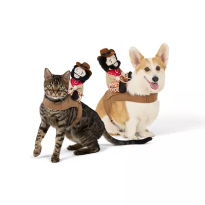 Thrills & Chills® Cowboy Dog Costume - Image 1