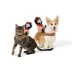 Thrills & Chills® Cowboy Dog Costume image thumbnail 1