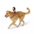 Thrills & Chills® Cowboy Dog Costume image thumbnail 2