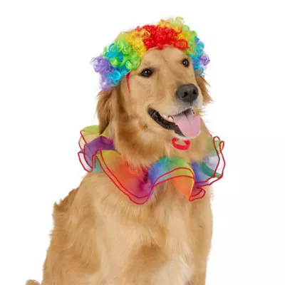 Thrills & Chills® Clown Dog & Cat Costume Set - Image 2