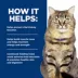 Hill's Prescription Diet Kidney Care Hydrolyzed Adult Dry Cat Food image thumbnail 5