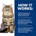 Hill's Prescription Diet Kidney Care Hydrolyzed Adult Wet Cat Food - 5.5 oz image thumbnail 5