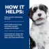 Hill's Prescription Diet K/D + Derm Complete Adult Wet Dog Food image thumbnail 4