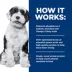 Hill's Prescription Diet K/D + Derm Complete Adult Wet Dog Food image thumbnail 5