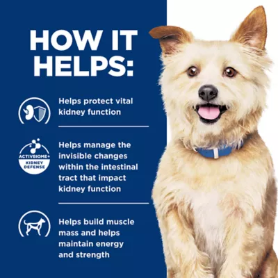 Hill's Prescription Diet K/D Starter Kit Adult Dry and Wet Dog Food - Image 2