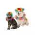 Thrills & Chills® Clown Dog & Cat Costume Set image thumbnail 1