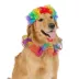 Thrills & Chills® Clown Dog & Cat Costume Set image thumbnail 2