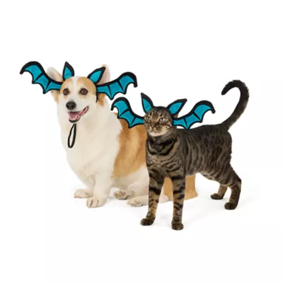 Thrills & Chills® Bat Dog & Cat Headpiece - Image 1