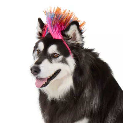 Thrills & Chills® Mohawk Dog & Cat Headpiece - Image 2