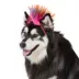 Thrills & Chills® Mohawk Dog & Cat Headpiece image thumbnail 2