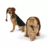 Thrills & Chills® Brown Braids Dog & Cat Wig Headpiece image thumbnail 1